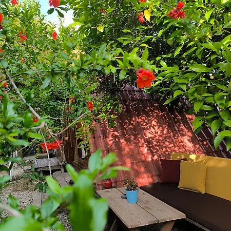 Litost Cafe Капсульный отель