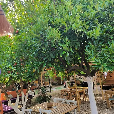 Капсульный отель Litost Cafe *