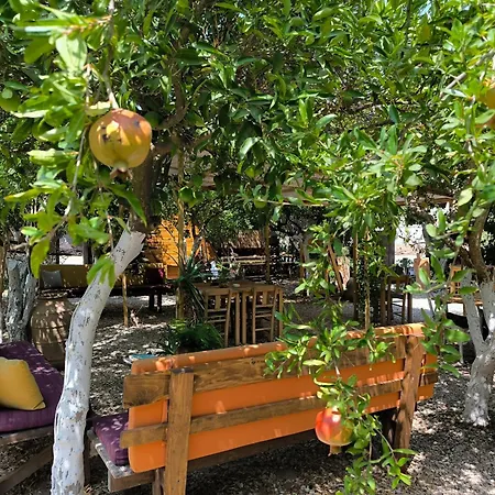Капсульный отель Litost Cafe