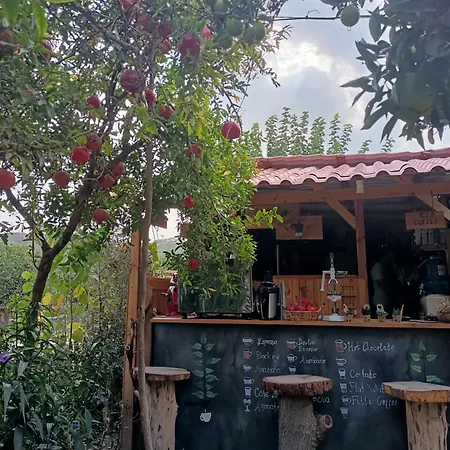 Kapslový hotel Litost Cafe *