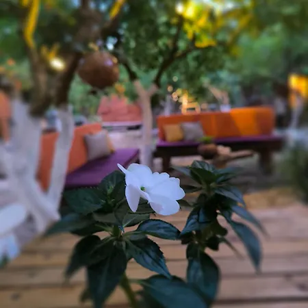 Kapslový hotel Litost Cafe *