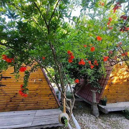 Kapslový hotel Litost Cafe