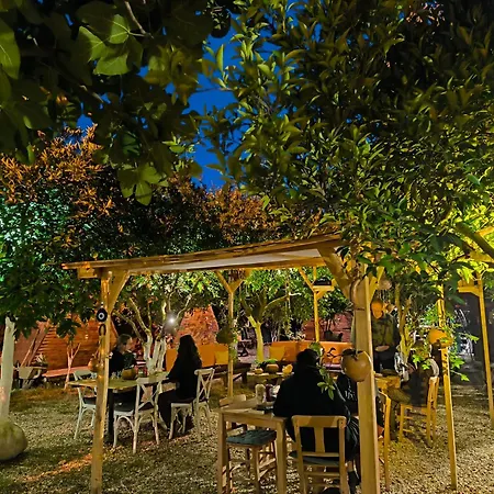 Litost Cafe *