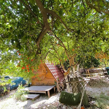 Litost Cafe * Adrasan