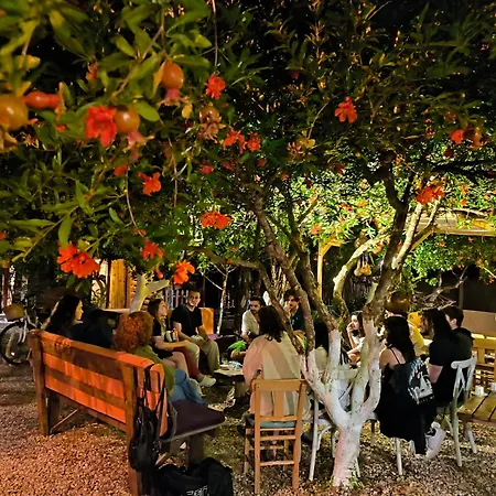 Litost Cafe Kapslový hotel *
