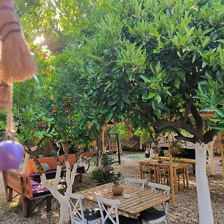 Litost Cafe Kapslový hotel *