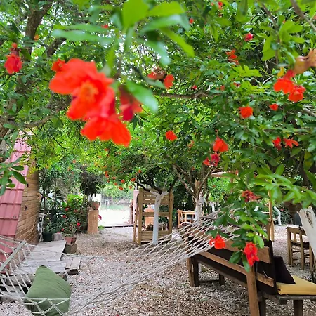Litost Cafe Kapslový hotel *