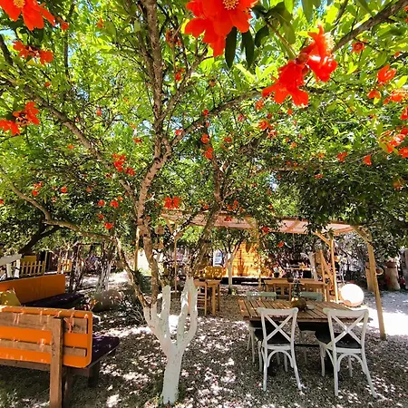 Litost Cafe Kapslový hotel