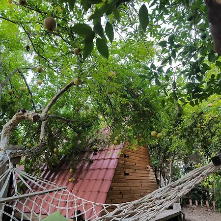 Litost Cafe