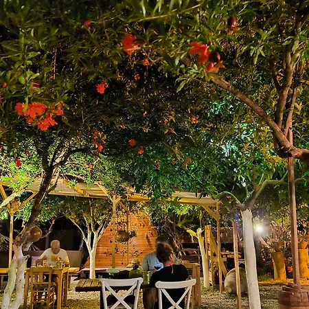 Kapslový hotel Litost Cafe *