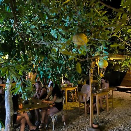 Litost Cafe * Adrasan